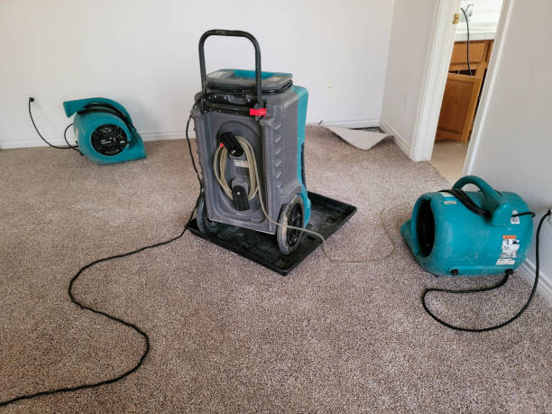 Best Mold removal after water damage  in Claude, TX
