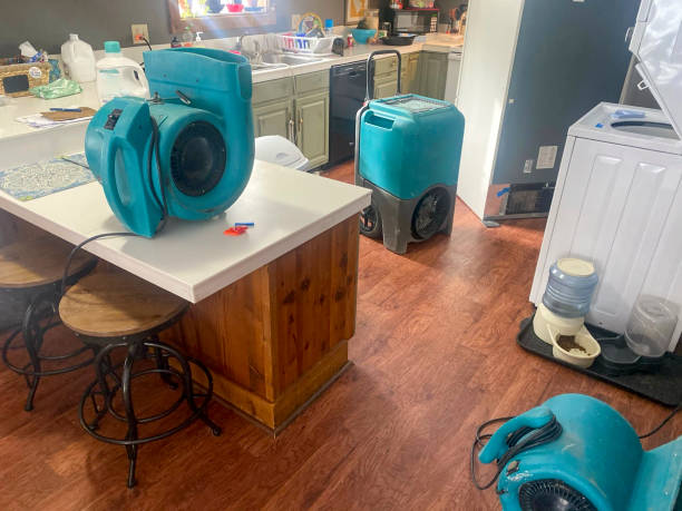 Best Carpet water damage restoration  in Claude, TX