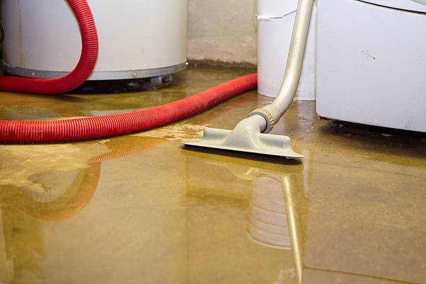 Best Water damage restoration process  in Claude, TX